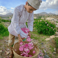 Nizwa und Jabal Akhdar - Ganztägige private Tour - Hizvo
