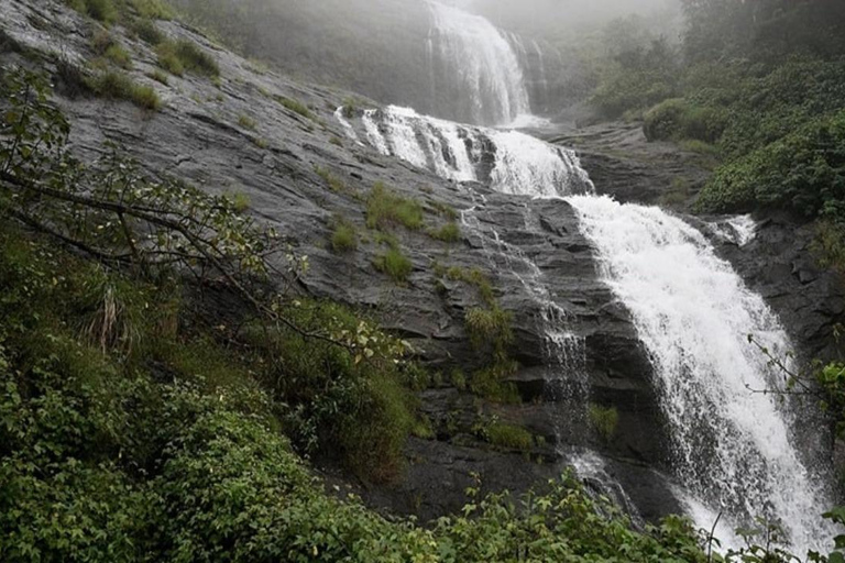 Kochi: 3-Day Kerala Tour with Munnar and Alleppey Cruise