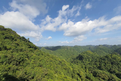 Half day Hiking Cat Ba National Park With guide