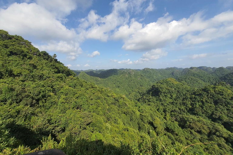 Half day Hiking Cat Ba National Park With guide