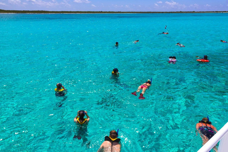 Sharm El Sheij: Crucero en barco de lujo con snorkel y almuerzoSharm El Sheij: Crucero por el Parque Natural con snorkel y almuerzo