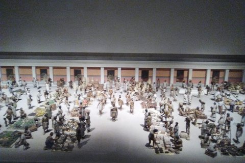 ANTHROPOLOGY MUSEUM : Guided Tour