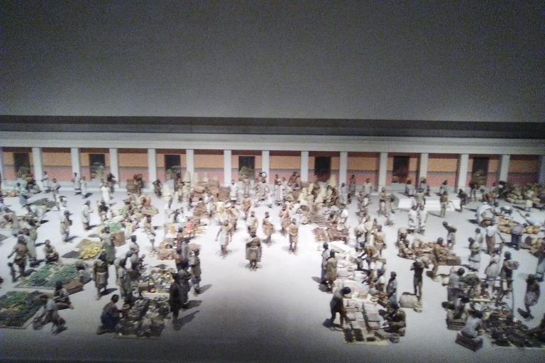 ANTHROPOLOGY MUSEUM : Guided Tour