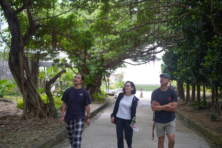 Naha: Okinawa Shuri Castle Peace Walking Tour
