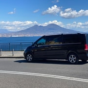 Au départ de Naples : visite en minibus de Pompéi et du Vésuve