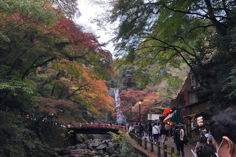 Get to know Minoo from Osaka. Katsuoji Temple, Ryuanji Waterfall and Ryuanji Temple
