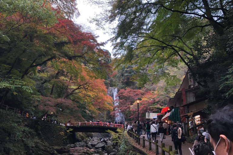 Get to know Minoo from Osaka. Katsuoji Temple, Ryuanji Waterfall and Ryuanji Temple