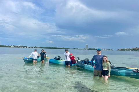 Sarasota: Guided Mangrove Tunnel Kayak Tour Lido Key
