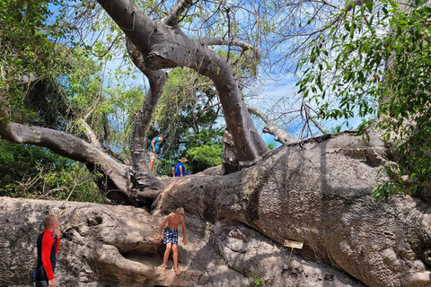 Safari Blue Tour Zanzibar – cały dzień z lunchem z owocami morza w formie bufetu