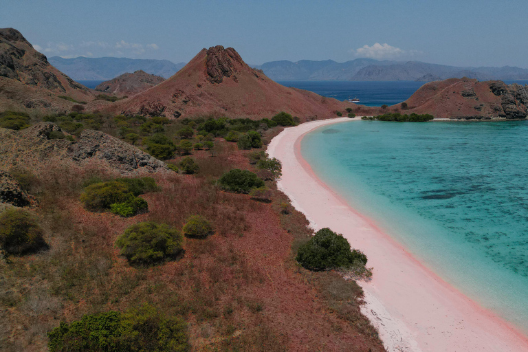 Całodniowa wycieczka łodzią motorową na Komodo z Labuan Bajo