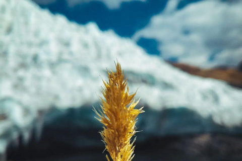 Pastoruri Glacier - A Day of Ice and Adventure