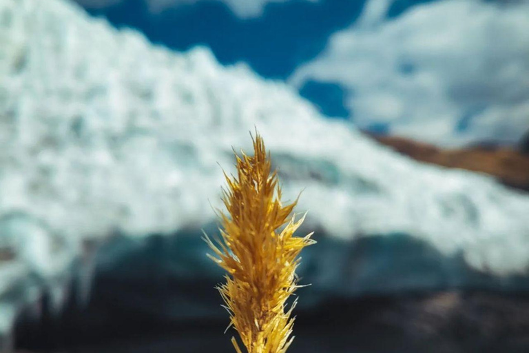 Glacier Pastoruri - Une journée de glace et d&#039;aventure