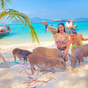 Koh Samui: Half-Day Pig Island Snorkeling Longtail Boat Tour