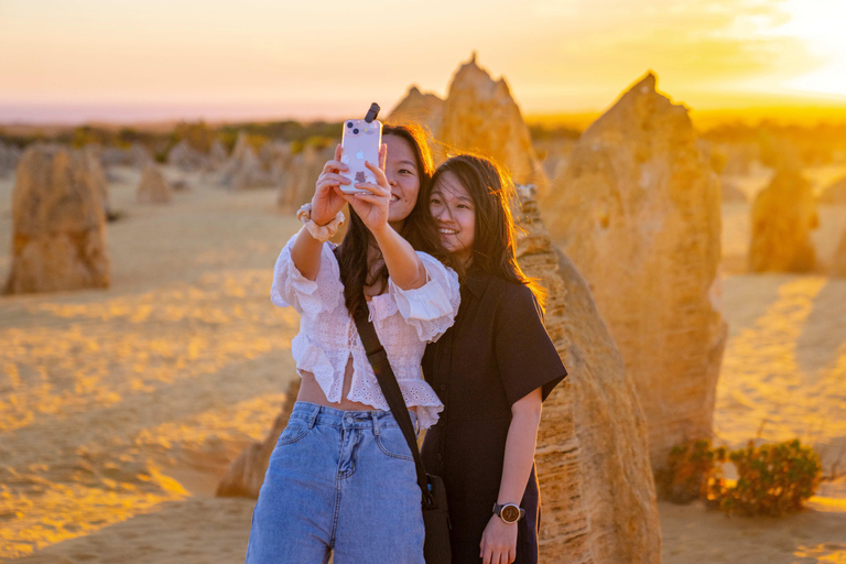Pinnacles Sunset & Stargazing Private Tour with Lobster Meal