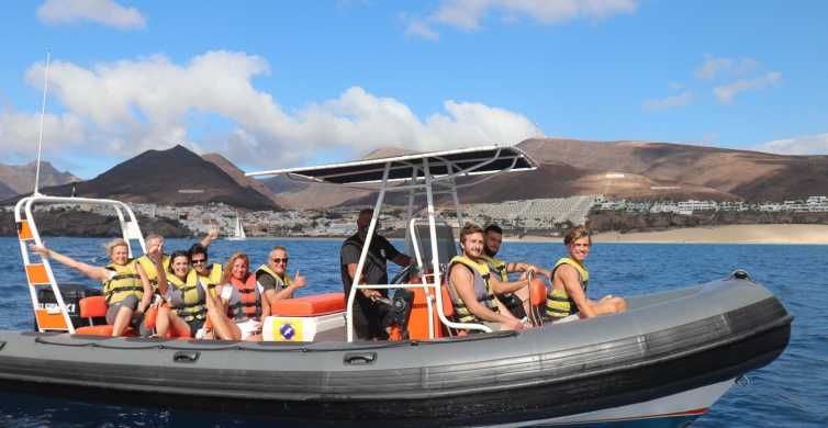 Morro Jable: 1.5-Hour Dolphin and Whale Watching Tour