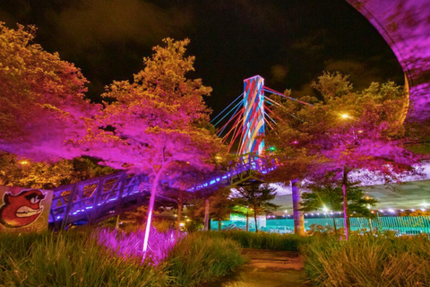 Medellín: Night City Tour on traditional Party Bus & Drinks Ruta Fresca