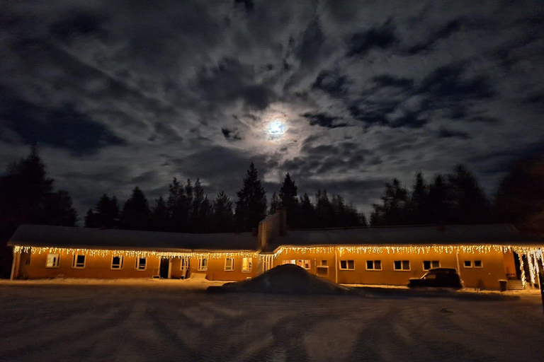 Levi: Meet & Feed Reindeer – Authentic Lapland Experience