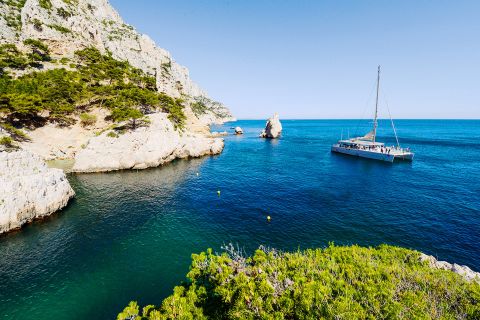 Marseille: Calanques Cruise with Lunch