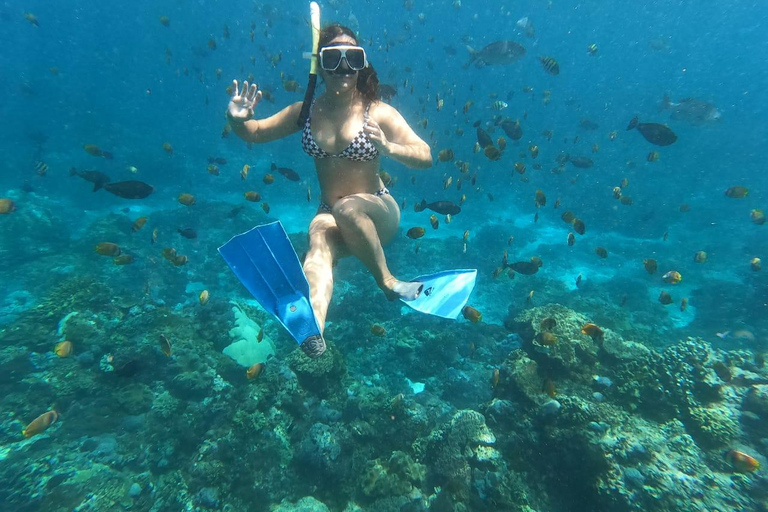 BFT Nusa Penida: Snorkeling to Manta Point &amp; Manta BayShare snorkeling group up 100 Pax