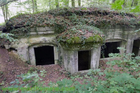 Das Meuse-Argonne-Schlachtfeld Abfahrt von Verdun oder Reims