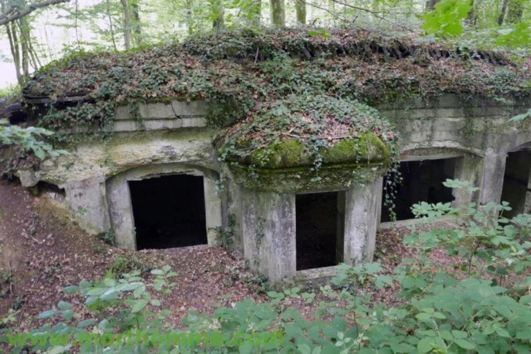 Le champ de bataille de la Meuse-Argonne au départ de Verdun ou de Reims