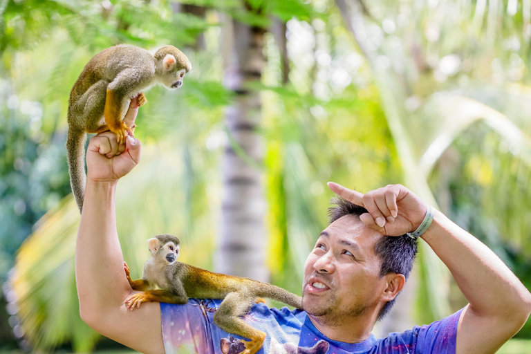 Punta Cana: Monkey House von Jhoraji mit Hotelabholung