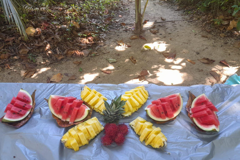 Cahuita national park : guiding tour with Pablo