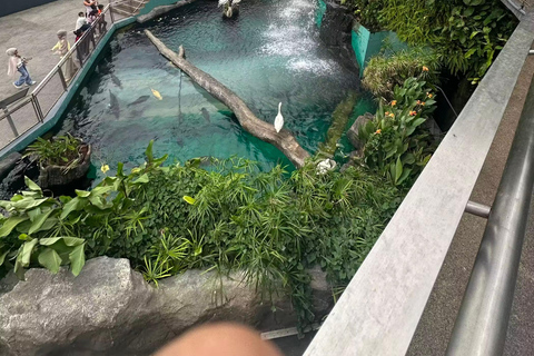 Ocean Park and Philippine Biodome Entry Ticket