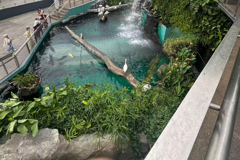 Ocean Park and Philippine Biodome Entry Ticket