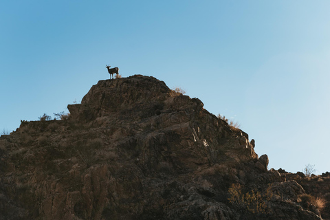 From Las Vegas: Emerald Cave Half-Day Kayak Tour