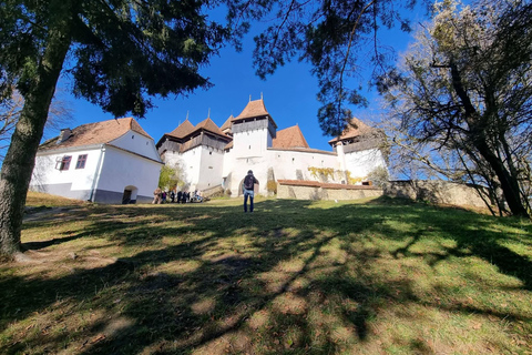 Saxon Villages Tour: Viscri, Rupea Fortress, Criț & Saschiz