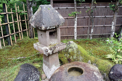 نارا: جولة في حدائق يوشيكين وإيسوئين مع حفل شاي