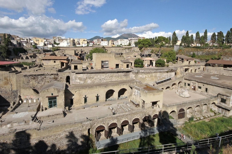 Pompeya y Herculano: tour de 1 día desde NápolesTour en inglés/italiano
