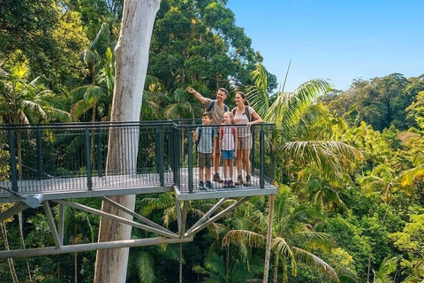 From Brisbane: Private Gold Coast Tour with Meal and Skywalk