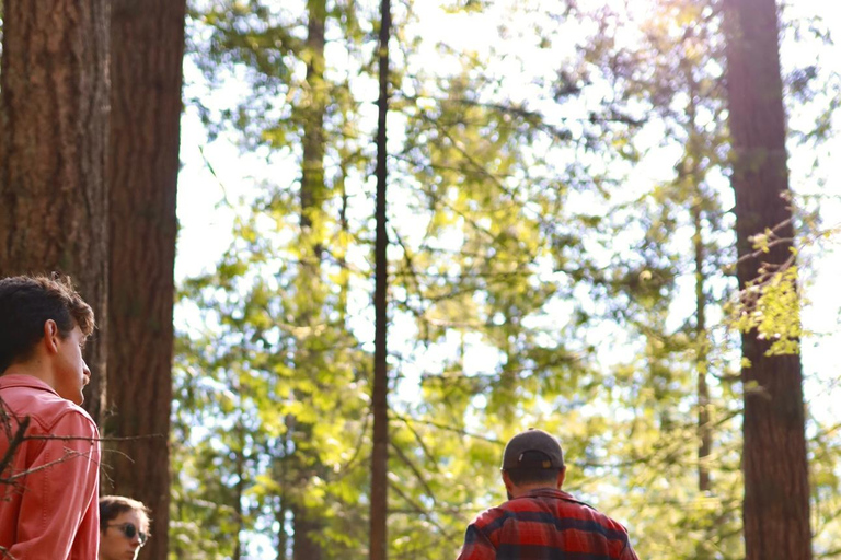 Vancouver: Wędrówki z przewodnikiem po Grouse i Lynn Canyon