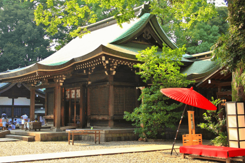 Tokio: Kawagoe Private Tagestour mit Abholung vom Hotel