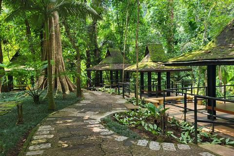 Hidden Valley Springs | Lunch | Taal Volcano Viewing (2in1)