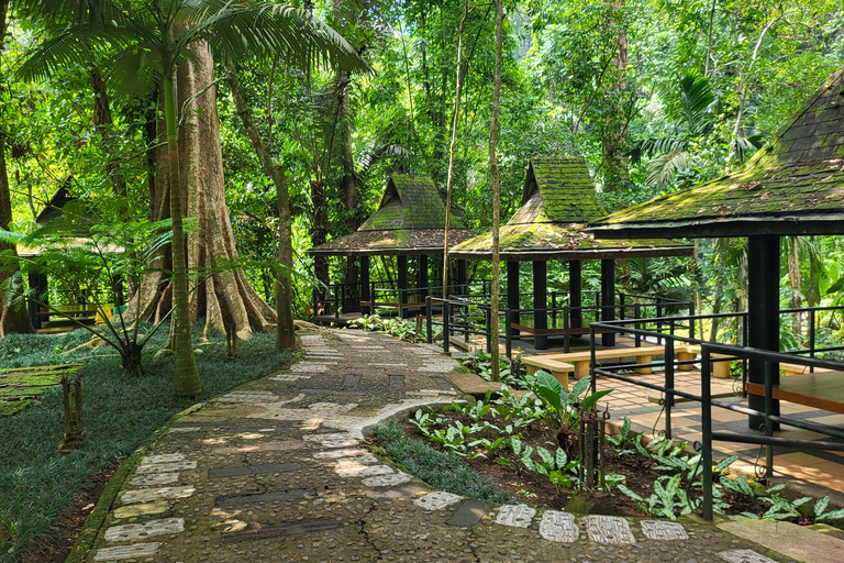 Hidden Valley Springs | Lunch | Taal Volcano Viewing (2in1)
