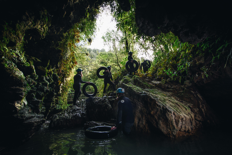 Från Auckland: Waitomo Caves Black Abyss Adventure Tour