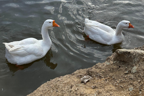 Hiking in Dilijan National Park: From Parz Lake to Goshavank