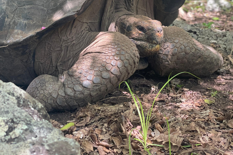 San Cristobal, Galapagos: 4-Day / 3-Night El Origen Package San Cristóbal, Galápagos: 4-Day, 3-Night El Origen Package