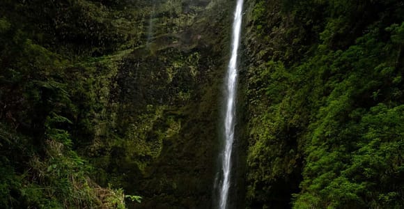 Queimadas Caldeirao Verde Full day hike