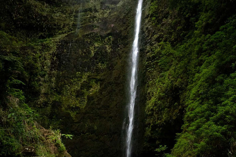 Queimadas Caldeirao Verde Full day hike