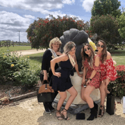 Coonawarra: Full or Half Day Private Group Luxury Wine Tour