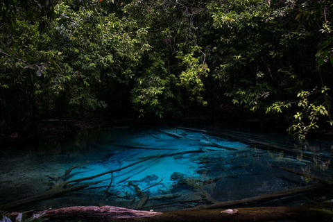 Krabi : Grotte du tigre, sources d'eau chaude et Emerald Pool Jungle Tour