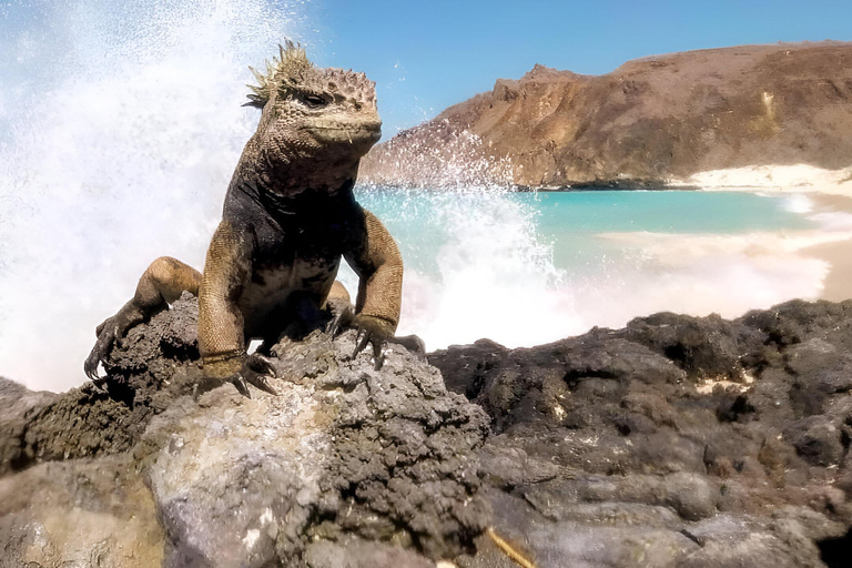 TOUR 360 - DIE UMFASSENDSTE UND AUSSERGEWÖHNLICHSTE TOUR DURCH SAN CRISTOBAL