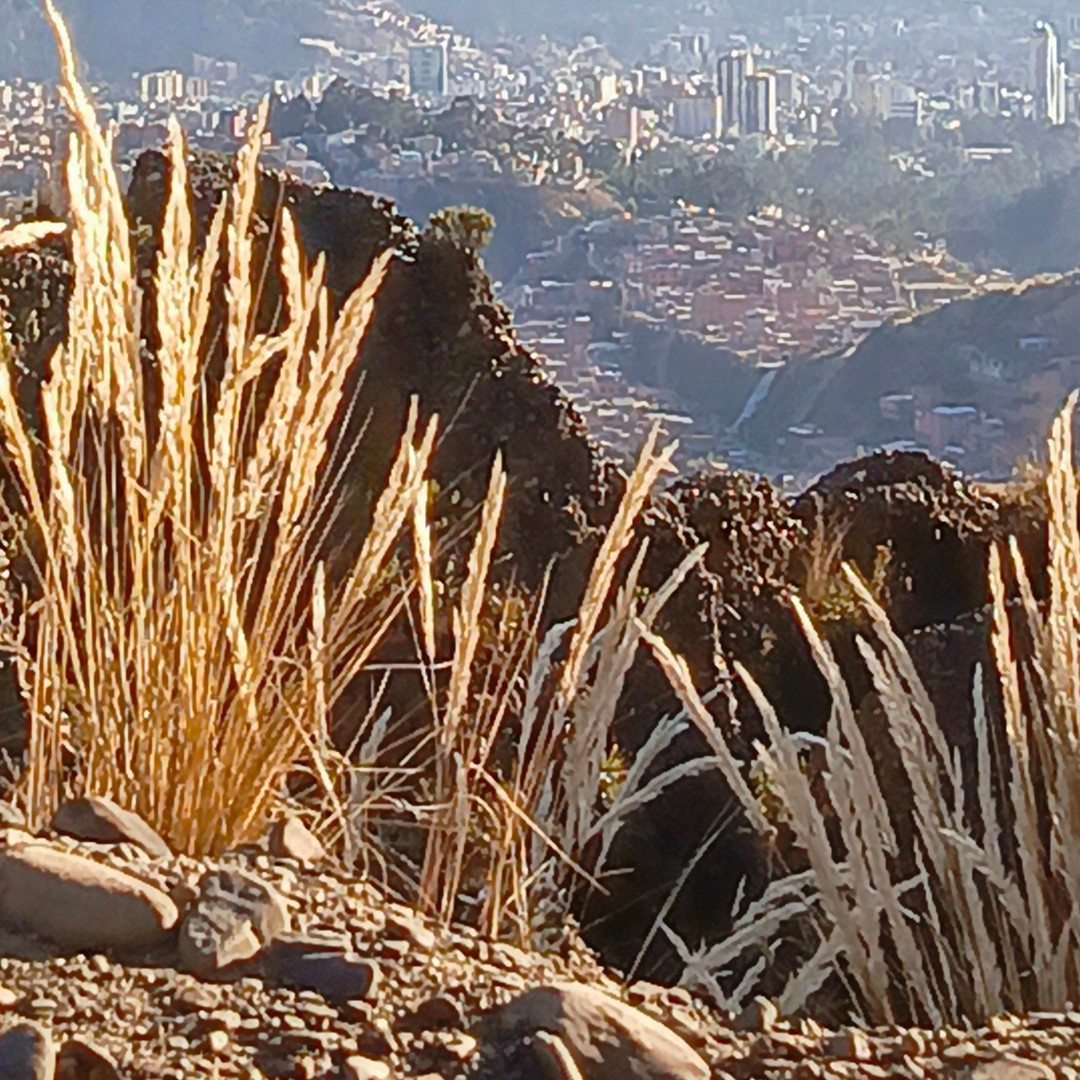 Colagem de mídia