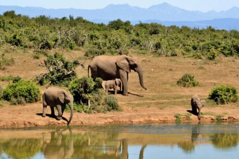5-Day Lake Bunyonyi & Lake Mburo Tour with Boat Cruise