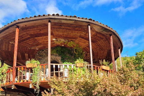 Adjara: Vineyard Tour with Wine Tasting and Lunch