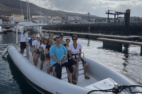 Morro Jable:Dolphin & Whale Watching Boat Tour & Snorkeling